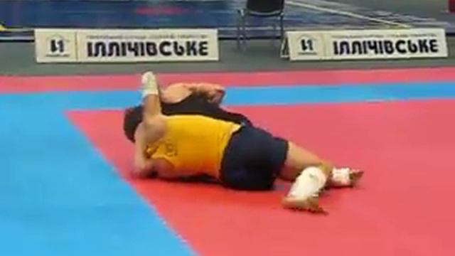Чемпионат Украины по хортингу в г. Киев 23 марта 2012 года смотреть онлайн