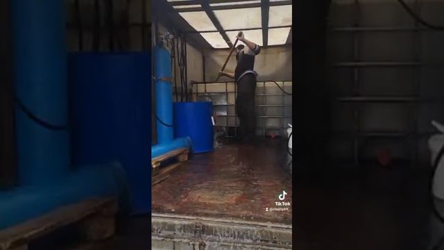 запуск форели в садок для дальнейших ежедневных дозапусков на большой водоем в кокино смотреть онлайн