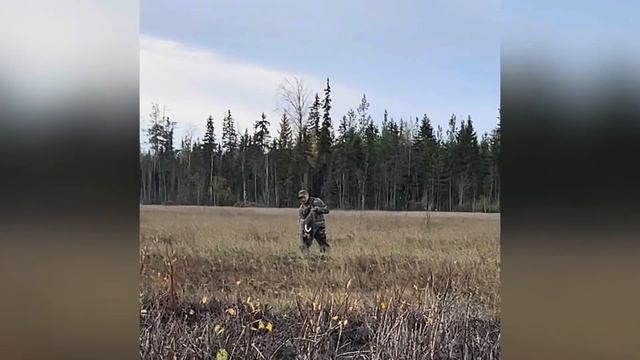 Осенняя охота гуся 2023 год #goosehunting2023 смотреть онлайн