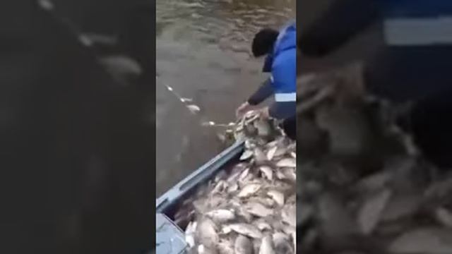 ПЕРЕГРУЗИЛИ ЛОДКУ КАРАСЁМ! НЕ РЕАЛЬНЫ УЛОВ! смотреть онлайн