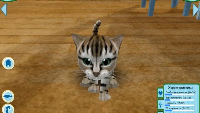 (сборник игр ) название игрьі -----(Catz смотреть онлайн