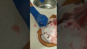 Разделка черноморского ската