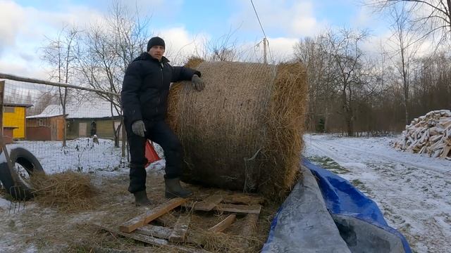 Самое время расширить пастбище и деревенские будни предзимья!