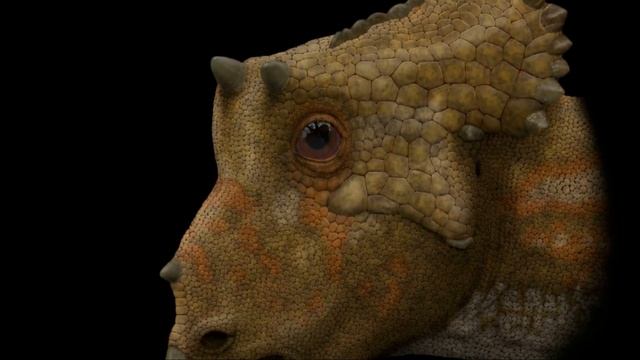 Трицератопс — что с ним не так? [OVERRATED]