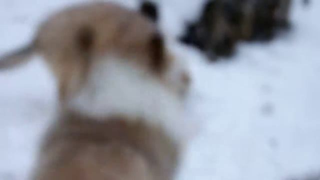 MVI 8357 смотреть онлайн