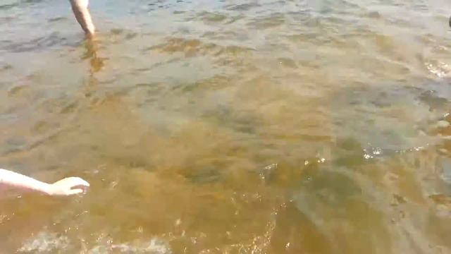 Купание в Неве смотреть онлайн