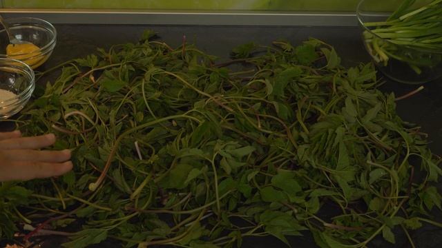 Пора квасить сныть! смотреть онлайн