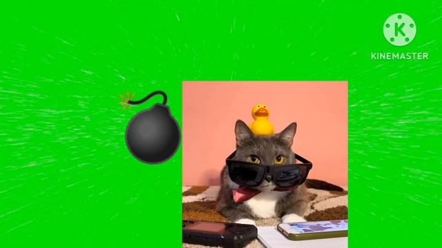 @amirshow220 бери для анонса смотреть онлайн