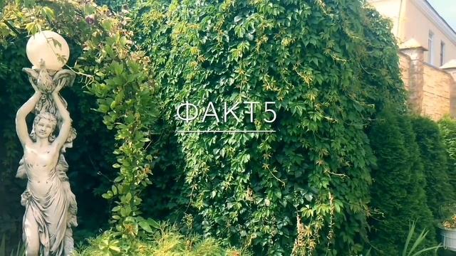 РИСУЕМ МУЛЬТФИЛЬМЫ | АНИМАЦИЯ | ДАНИЭЛЬ БЕНЬЕР / Русская Версия смотреть онлайн