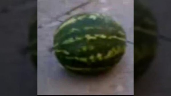 Арбуз Арбуз пёрни