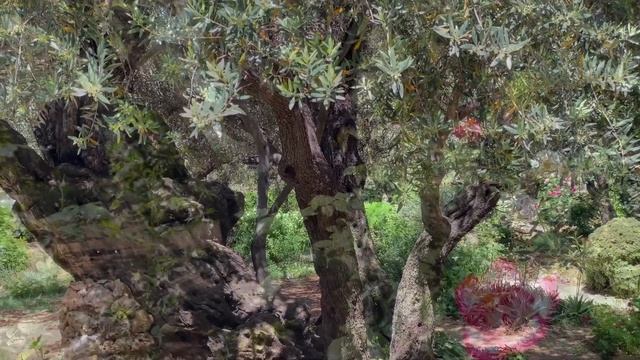 Олег Богданов - Зов (Стихи Ольги Асауляк) смотреть онлайн