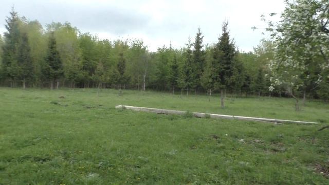 Унас.Здесь.Мокрая.Сырая.Погода.От.22.05.2022.г. смотреть онлайн