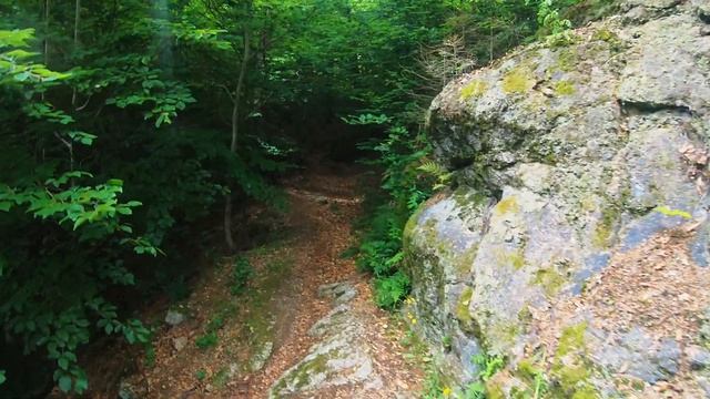 карловы вары чехия | тайные красоты окрестностей смотреть онлайн