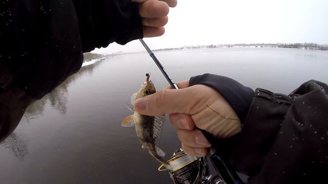 Пассивный зимний окунь на спиннинг. Мормышинг в конце января смотреть онлайн