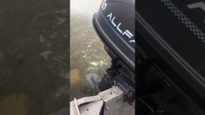Лодочный мотор Альфа CG T5 обкатка