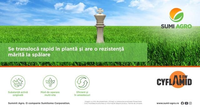 Cyflamid 5 EW - Regele castigator in lupta contra fainarilor смотреть онлайн