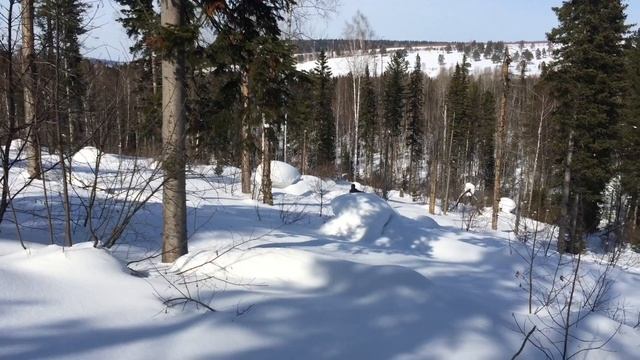 Снегоход Yamaha nytro mtx 162, покатушки зима 2015, Таргай. ямаха смотреть онлайн