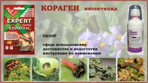 Кораген - современное, эффективное и безопасное средство от вредителей. Видеообзор