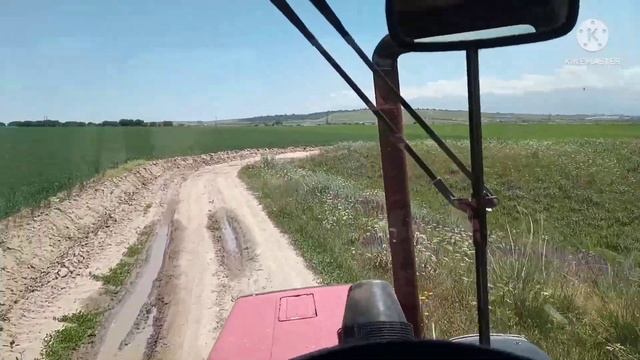 Первый укос Семиреченской люцерны,кошу своё поле на тракторе МТЗ 82.1 турбо сенокосилка Pöttinger смотреть онлайн