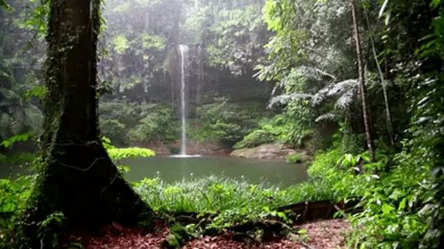 1 HOUR ASMR Rain and Thunderstorm Sounds: Perfect Serenity/1 ЧАС Звуки Дождя и Грозы в АСМР смотреть онлайн