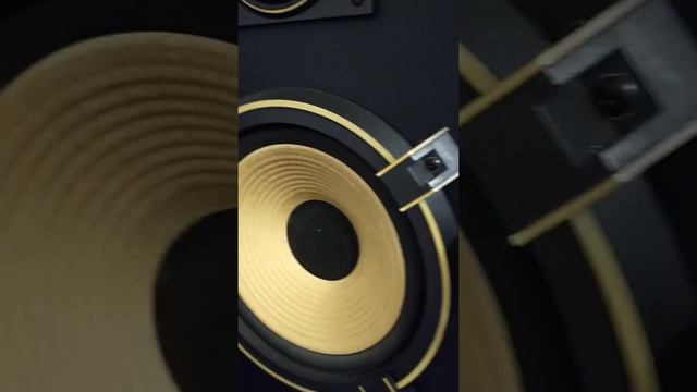 bán 1 cặp loa sansui S715 bass 25,CS 240w, 8om, giá 4tr8 смотреть онлайн