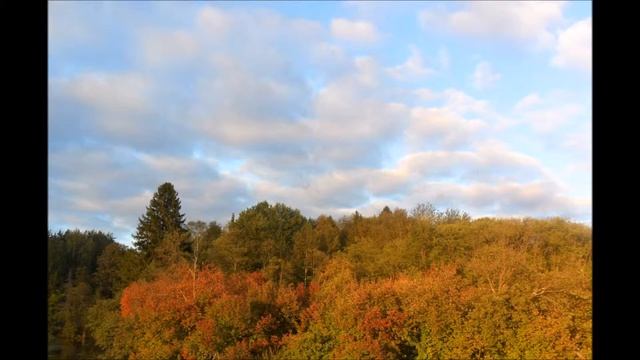 Природа Родного края Марий Эл смотреть онлайн