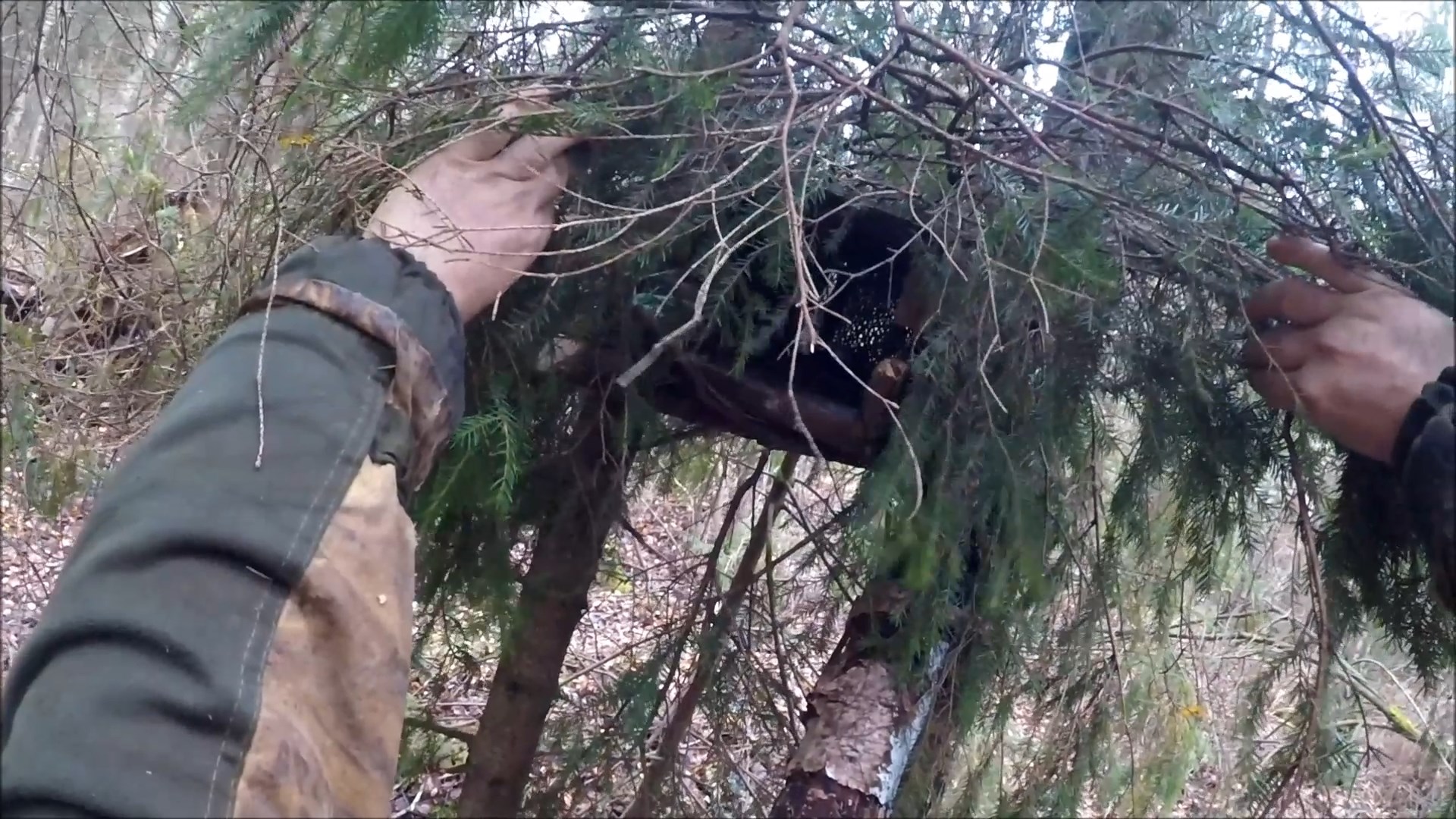 Проверка капканов на куницу (Будни охотника и рыбака) смотреть онлайн