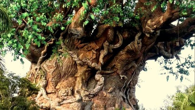 Одержимые страхом, с энергетической точки зрения.