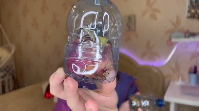 Что я привезла из Артека ? / АРТЕК /что купить в Артеке ? Цены в Артеке … смотреть онлайн