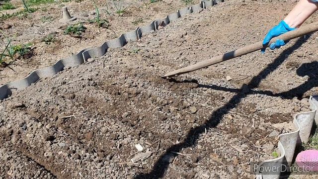 ТРИ основных ПРАВИЛА посева МОРКОВИ смотреть онлайн