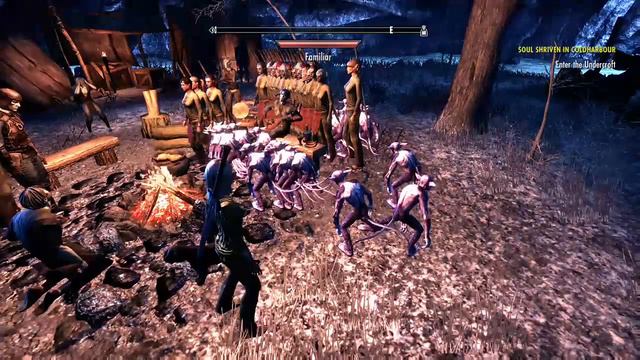 Bots on XBOX Elder Scrolls Online (ESO) in the new player area смотреть онлайн