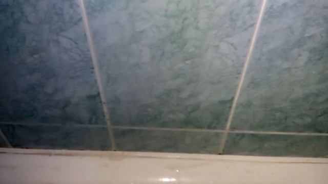 Как вывести плесень - ЛУЧШИЙ СПОСОБ!