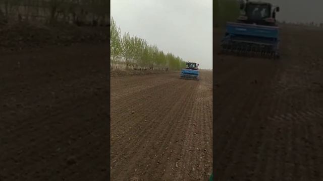 Cotton planting with LEMKEN Saphire 7 | Посев хлопка | Chigit ekish ishlari John Deere 6175M смотреть онлайн
