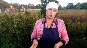 БИГ 6 или ХАЙБРИД КОНВЕРТЕР. Какой выбор лучше. Содержание индюков.