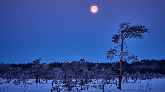 Александр Городницкий - "Снег" смотреть онлайн