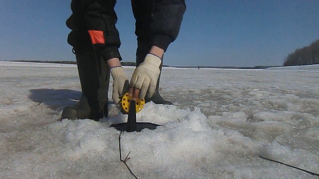 ВЕСЕННИЙ ЖОР ЩУКИ! ЗАКРЫТИЕ ЗИМНЕГО СЕЗОНА. ЩУКА НА ЖЕРЛИЦЫ. смотреть онлайн