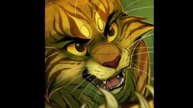 клип коты воители: юпитер (читать описание) смотреть онлайн