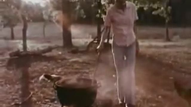 The Fiddler (1975) смотреть онлайн