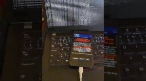 Запускаю Android-шифровальщика в телефоне