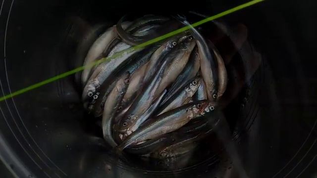 Ловля корюшки с лодки. смотреть онлайн