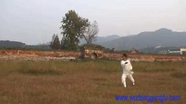 Wudang Dragon Fist - Master Yuan Xiu Gang смотреть онлайн