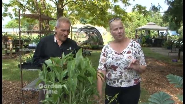 Garden Time show 12 5-23-15 смотреть онлайн