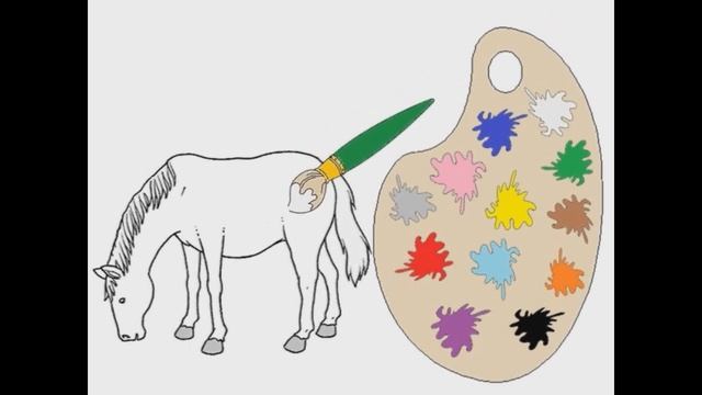 Animals And Colours -1-