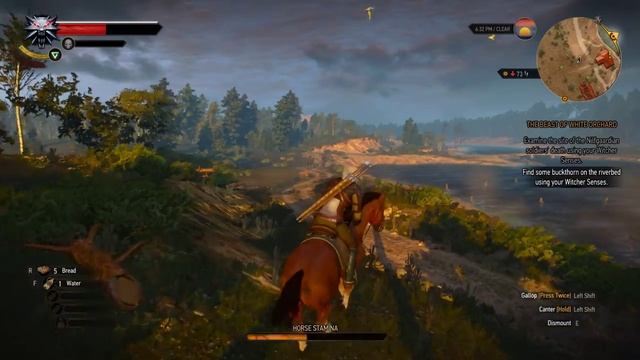 The Witcher 3 Gameplay NVIDIA GTX 960M 2GB смотреть онлайн