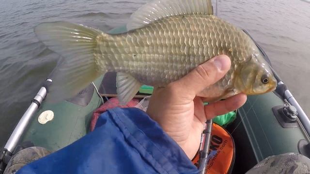 СТАРЫЙ ЗАБЫТЫЙ ВОДОЁМ ОЖИЛ. НЕСКОЛЬКО ЛЕТ ЗДЕСЬ БЫЛ ЗАМОР, А ТЕПЕРЬ... смотреть онлайн