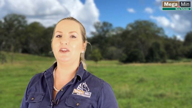 Setaria Grass and Avoiding Bighead in Horses смотреть онлайн