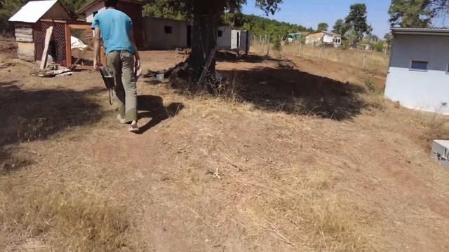 HER ŞEY DÜZENE GİRİYOR / Koyunlar Gebe Mi / Köye Göçenler