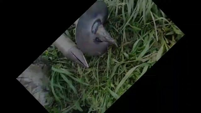 Делаем винтовые сваи для забора/ защита от коррозии / Из Москвы в Сибирь/ Центральная Сибирь. смотреть онлайн