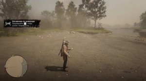 Кубинский сухопутный краб и зелёная игуана в РДР онлайн