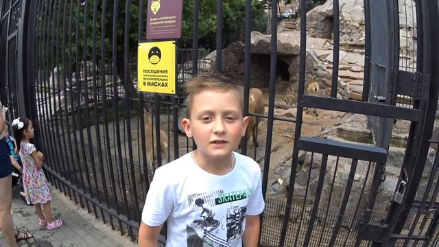 Прогулка МорлокМоторс по Московскому зоопарку. Краткий обзор. Москва 2020г. смотреть онлайн